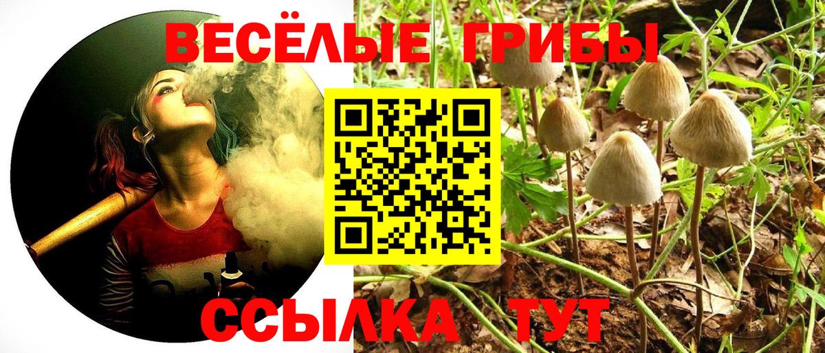 Ефремов  Галлюциногенные грибы мицелий  Вход с VPN 